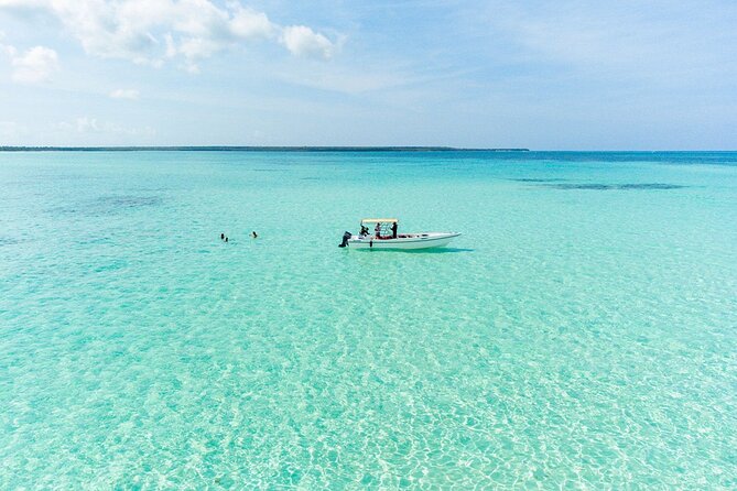 Private Saona Island Excursion - Snorkeling, swimming, and what to request