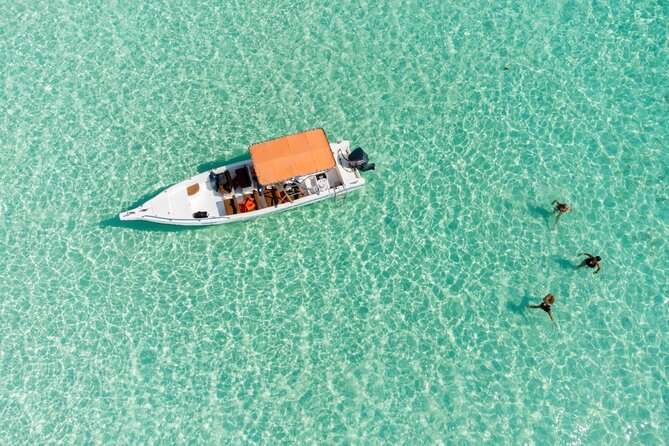Private Saona Island Excursion - Is $990 a fair price for six people?