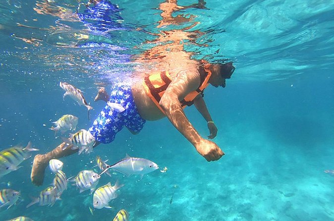 Private Speed Boat Experience with Snorkeling in Punta Cana - Timing, delays, and the real value of 2.5 hours