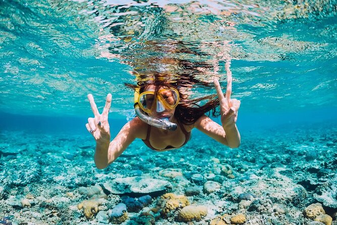 Private Speed Boat Experience with Snorkeling in Punta Cana - Should you book the $84 speedboat tour?