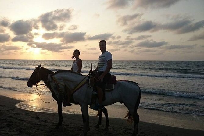 Private Sunset Horseback Riding in punta cana beach - What the private guide service adds