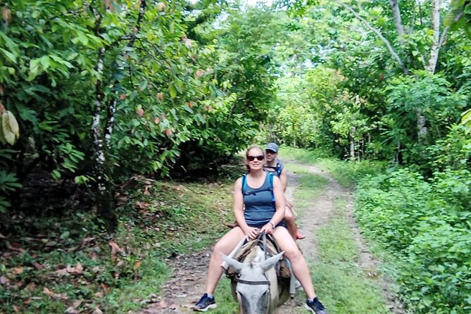 Private Tour in Miches with La Jarda Waterfall Experience - Why La Jarda makes the long drive worthwhile