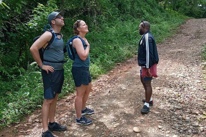 Private Tour in Miches with La Jarda Waterfall Experience - Pickup, timing, and the people running the day