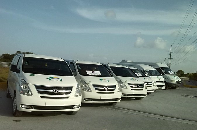 Private Transfer between Airport and Accommodation in Punta Cana - Port pickup gives the service extra reach