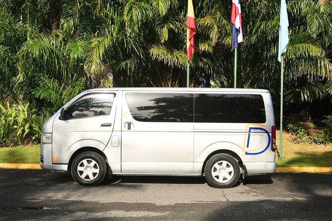Private transfer between Punta Cana airport and Riu hotel - Who will like this service most?