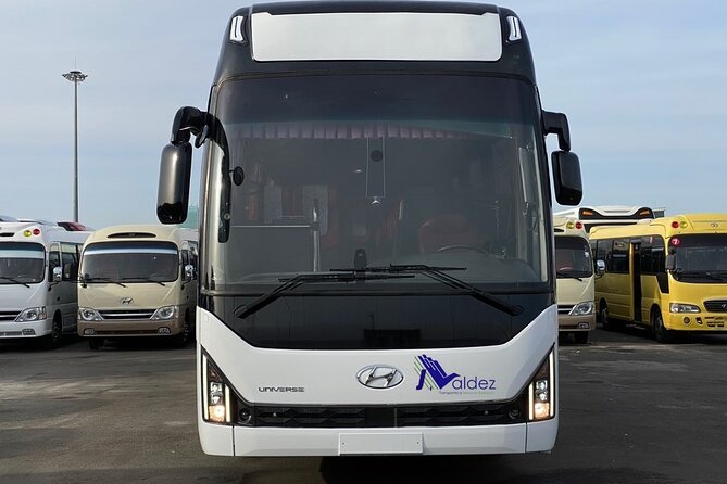 Private Transfer From or to Punta Cana Airport to hotels in Bávaro - Baby seats, assistance animals, and wheelchair access