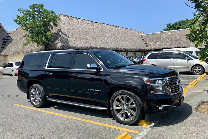 Private Transfer from Punta Cana Airport to Uvero Alto RoundTrip - Why a private Punta Cana airport transfer helps