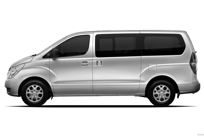 Private Transfer in Punta Cana from Airport and Hotels - Booking, timing, and cancellation details