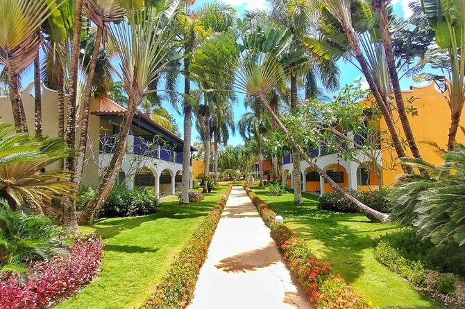 Private Transfer Punta Cana Airport to/from Catalonia Royal La Romana - Key points at a glance