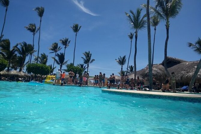private transfer standard and premium airport punta cana to hotels pta cana - Punctuality, communication, and the real risk