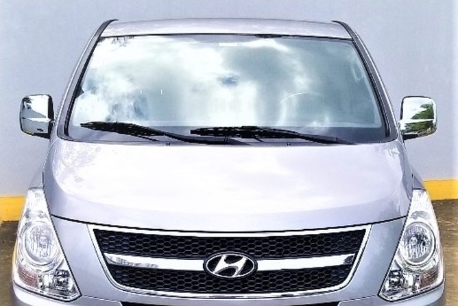 private transfer standard and premium airport punta cana to hotels pta cana - The ride back to the airport