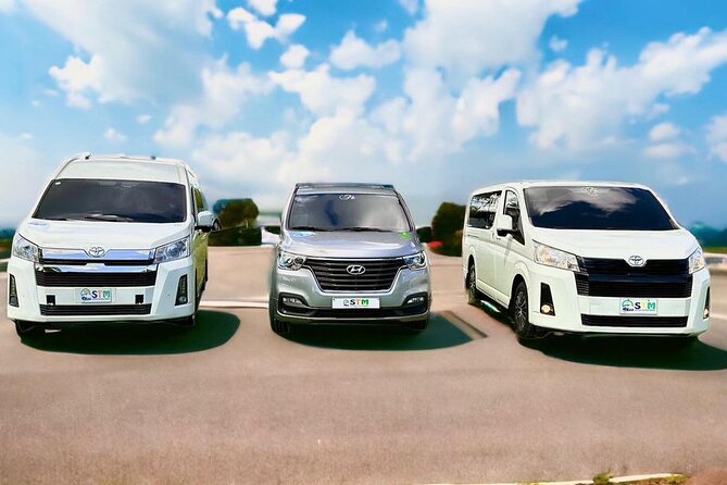 Private Transfer to/from Punta Cana Airport - Timing, meeting points, and operating hours