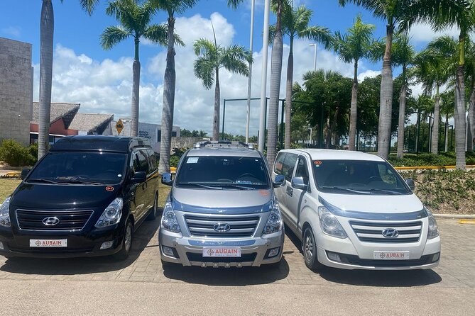 Private Transfers From Punta Cana To Bavaro - Who should book this Punta Cana transfer?
