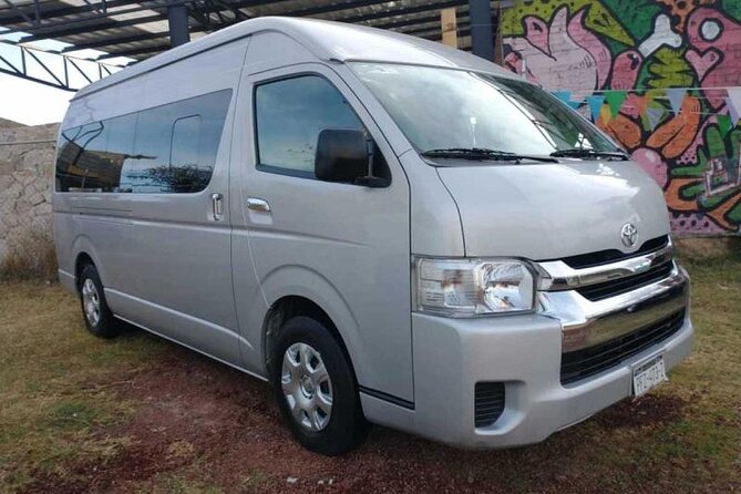 Private Transfers in PUNTA CANA AIRPORT - How reliable is the communication?