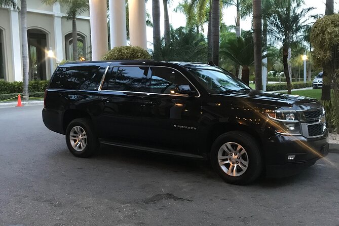 Private Transfers Transportation Airport (PUJ) to PuntaCana and Bavaro Hotels - Who should book this transfer?