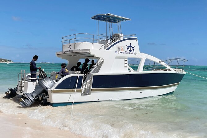 Private VIP Catamaran Party Boat Punta Cana Bavaro - Virgin Beach and Coconut Water