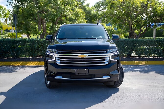 Private VIP Shuttle Service in Punta Cana - The service record in plain numbers