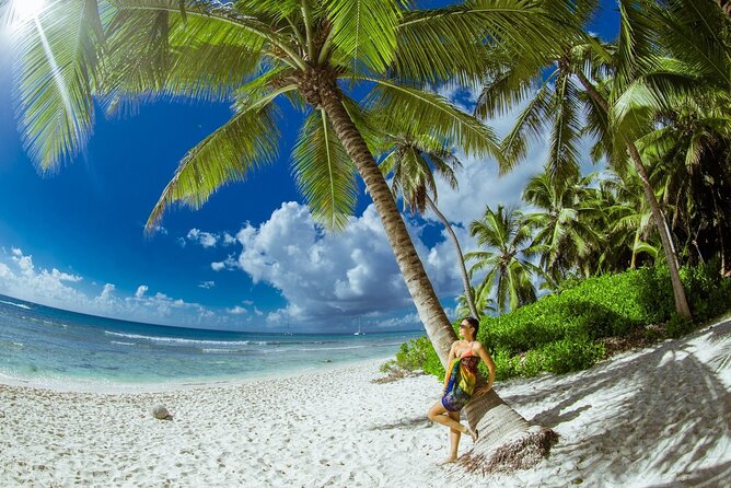 PRIVATE VIP tour Saona Island with Snorkeling, Starfish, Turtles - Key details worth knowing