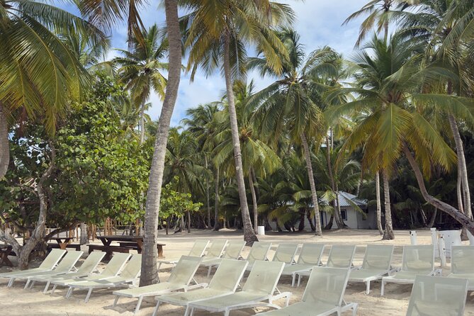 PRIVATE VIP tour Saona Island with Snorkeling, Starfish, Turtles - Mangroves and the chance to spot turtles