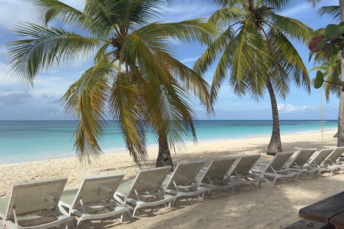 PRIVATE VIP tour Saona Island with Snorkeling, Starfish, Turtles - What $440 per person really buys