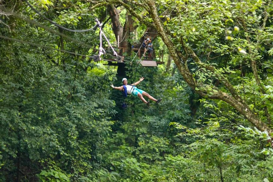 Puerto Plata/Amber Cove: Zipline and Waterfalls with Lunch - Key Points at a Glance