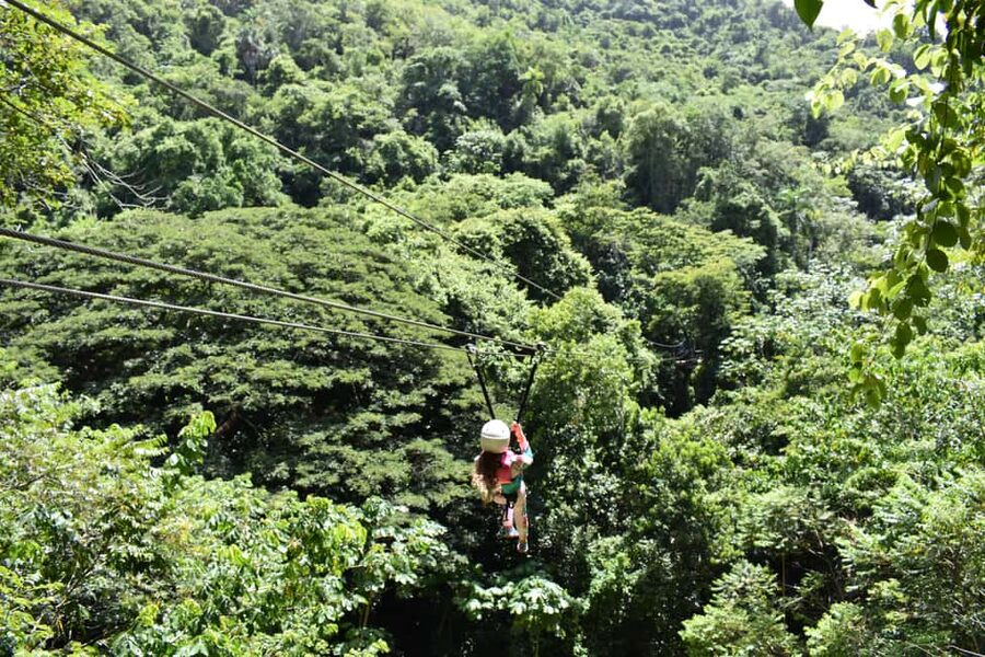 Puerto Plata/Amber Cove: Zipline and Waterfalls with Lunch - From Amber Cove or Taino Bay to the Rainforest