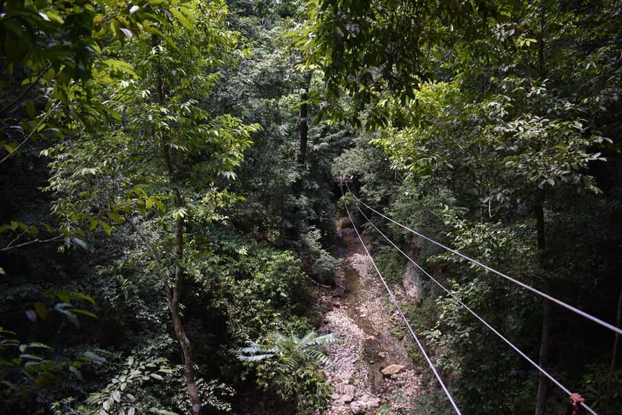Puerto Plata/Amber Cove: Zipline and Waterfalls with Lunch - Five Ziplines Above Water and Trees
