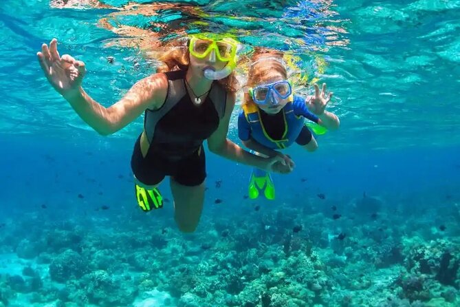 Puerto Plata Catamaran Cruise with Snorkeling, BBQ & Open Bar - What the $99 price really covers