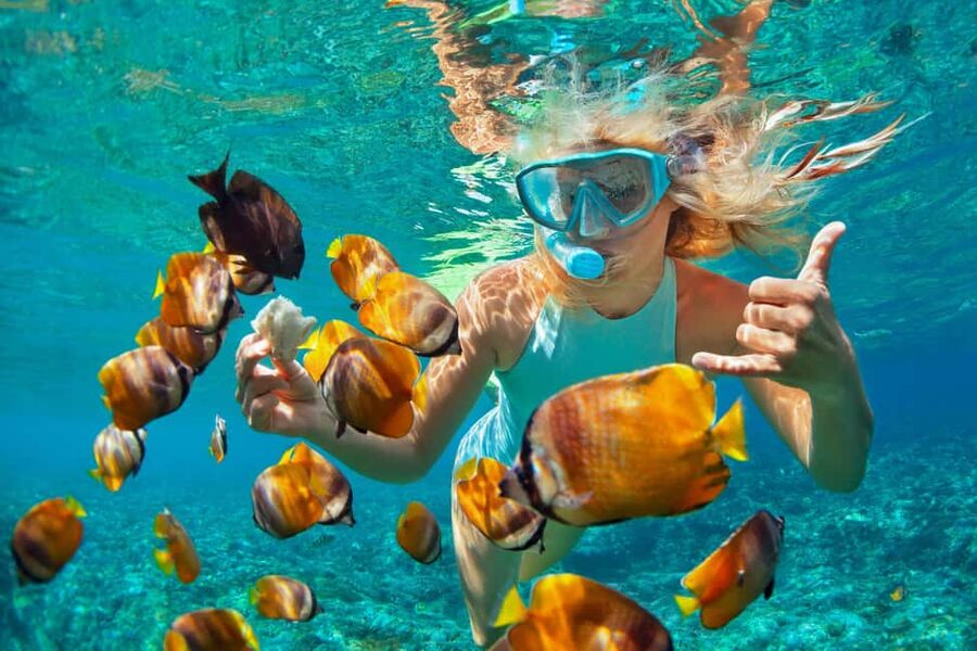 Puerto Plata: Catamaran Snorkeling Trip w/ Buffet & Open Bar - Key points to know before booking