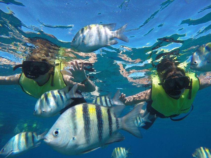 Puerto Plata: Catamaran Snorkeling Trip w/ Buffet & Open Bar - Sailing toward Ocean World marina