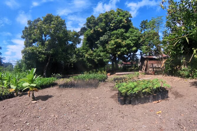 Puerto plata city tour and beach - San Felipe Fortress in a 20-minute visit