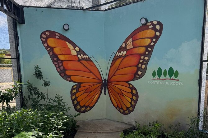 Puerto Plata City Tour with Butterfly Garden - San Felipe Cathedral adds history in the center