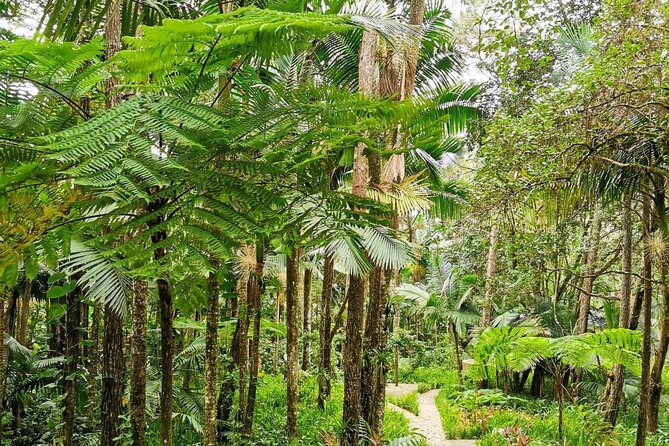 Puerto Plata City Tour with the Mount Isabel, Rum & Chocolate - Why this six-hour tour works for a first look at Puerto Plata
