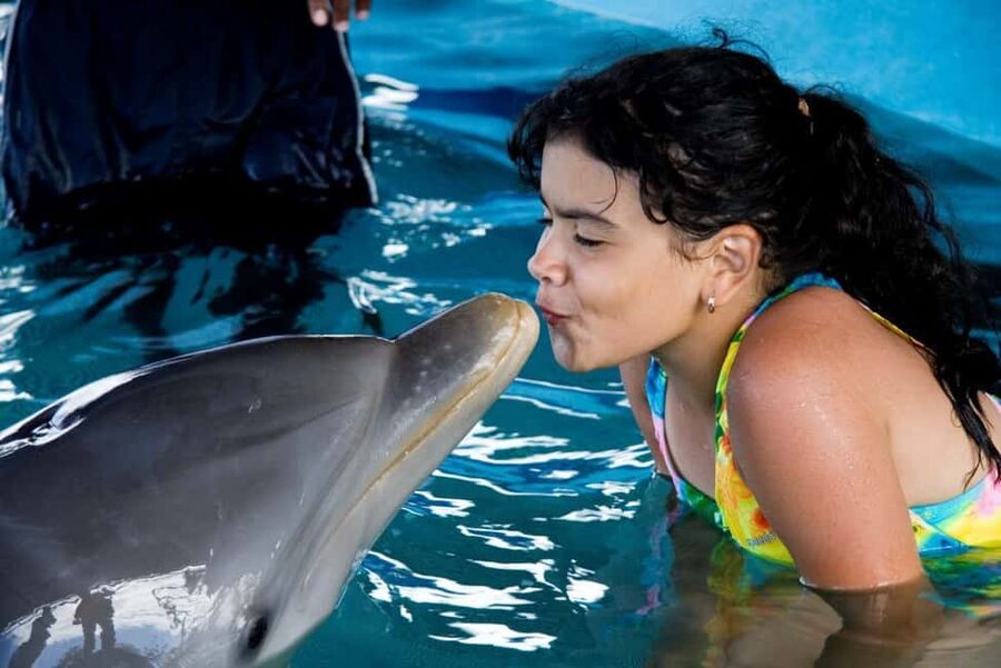 Puerto Plata: Dolphin Encounter at Ocean World - Making sense of the 510-minute Ocean World day