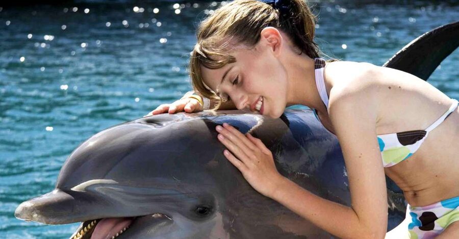 Puerto Plata: Dolphin Encounter at Ocean World - Snorkeling in Tropical Reef Aquarium
