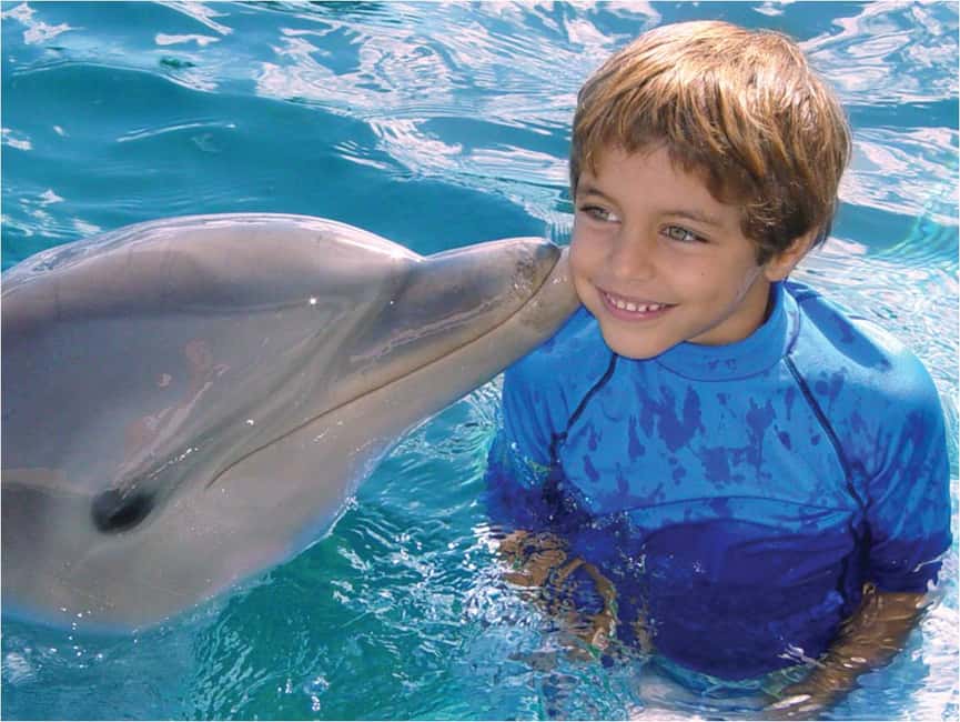 Puerto Plata: Dolphin Encounter at Ocean World - What the dolphin program feels like for families