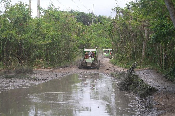 Puerto Plata Dune Buggy Adventure - Amber cove & Taino Bay - Is $55 a good value for a cruise-day excursion?