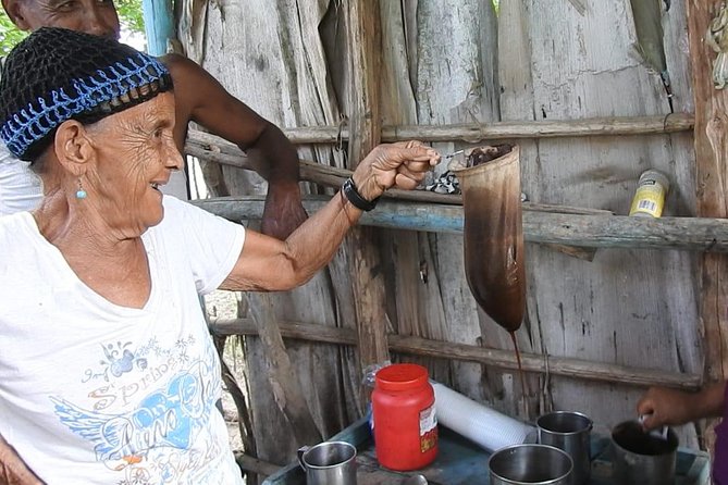 Puerto Plata: Escapada Cultural Tour in Puerto Plata - From Puerto Plata toward the countryside