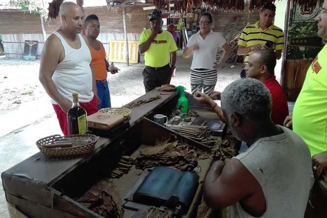 Puerto Plata: Escapada Cultural Tour in Puerto Plata - Tobacco fields and handmade cigars