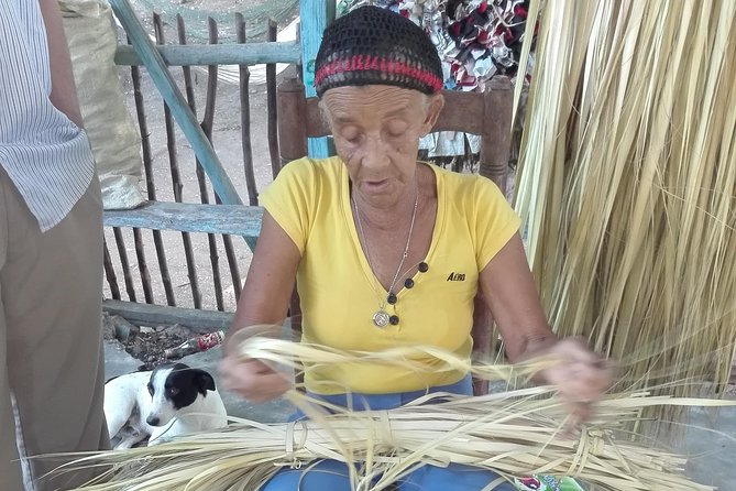 Puerto Plata: Escapada Cultural Tour in Puerto Plata - Organic cacao and the path to chocolate