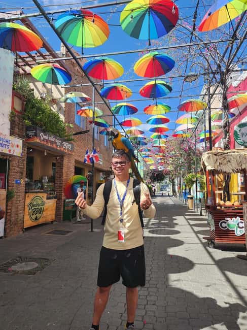 Puerto Plata: Monkey Tour, Fortress, and Historic Center - Why this five-hour Puerto Plata tour works well for families