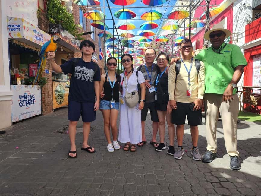 Puerto Plata: Monkey Tour, Fortress, and Historic Center - Meeting squirrel monkeys at Monkey Home