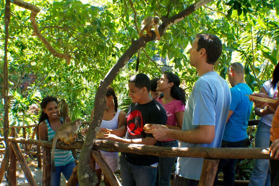 Puerto Plata: Monkeyland and Zip-Line Adventure - Meeting the squirrel monkeys at Monkeyland
