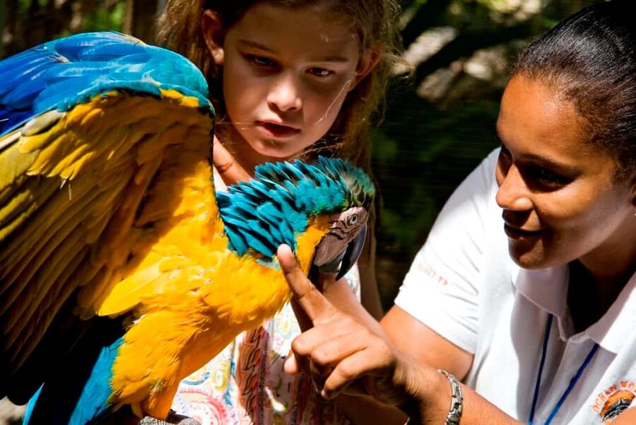 Puerto Plata: Ocean World Adventure Park Day Pass - Pirate’s Pool and Dolphin Beach