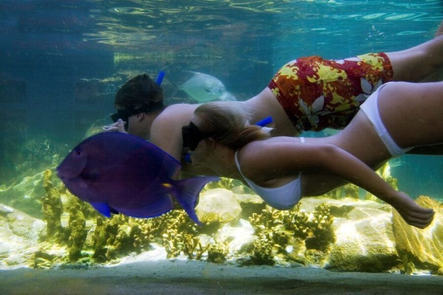 Puerto Plata: Ocean World Adventure Park Day Pass - Who will enjoy Ocean World most