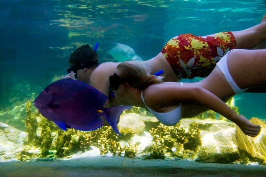 Puerto Plata: Ocean World Adventure Park Day Pass - Start with the animal show schedule