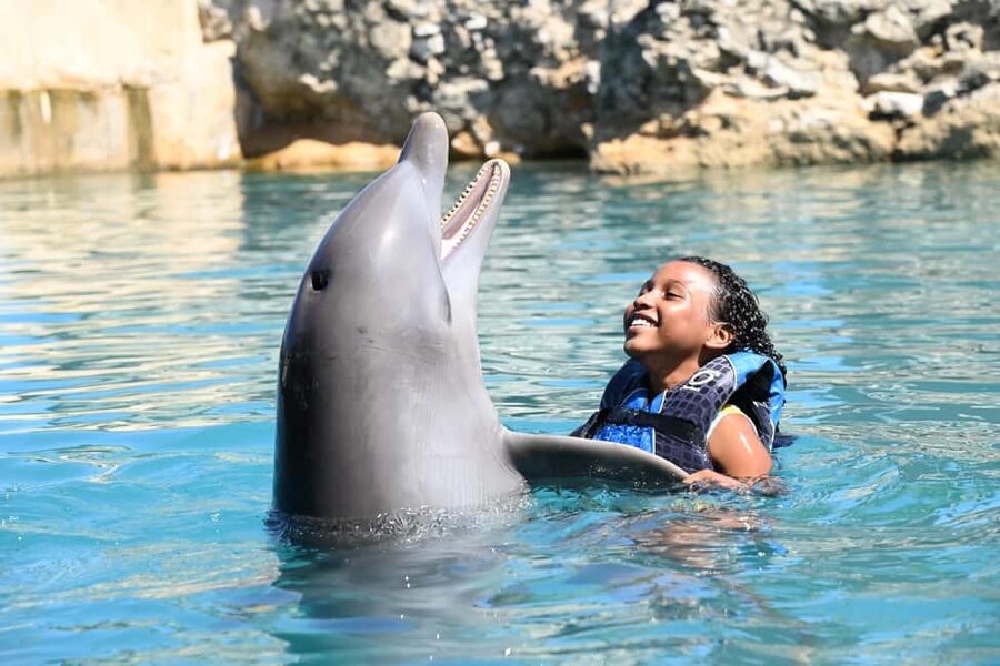 Puerto Plata Ocean World Dolphin Swim - The dolphin session is the reason to go