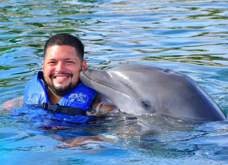 Puerto Plata Ocean World Dolphin Swim - What the animal shows add to the day