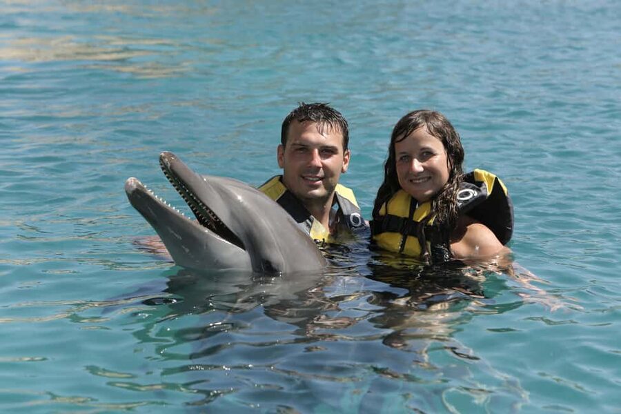Puerto Plata Ocean World Dolphin Swim - A full day at Ocean World, not just a dolphin appointment
