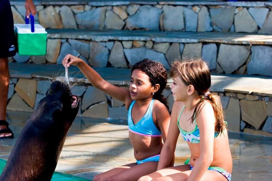 Puerto Plata Ocean World Tickets - The Patagonian sea lion encounter